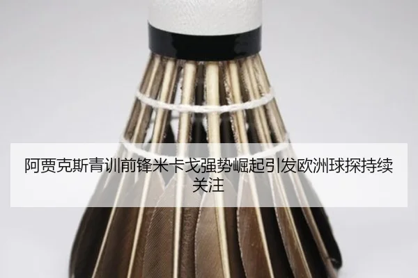 阿贾克斯青训前锋米卡戈强势崛起引发欧洲球探持续关注